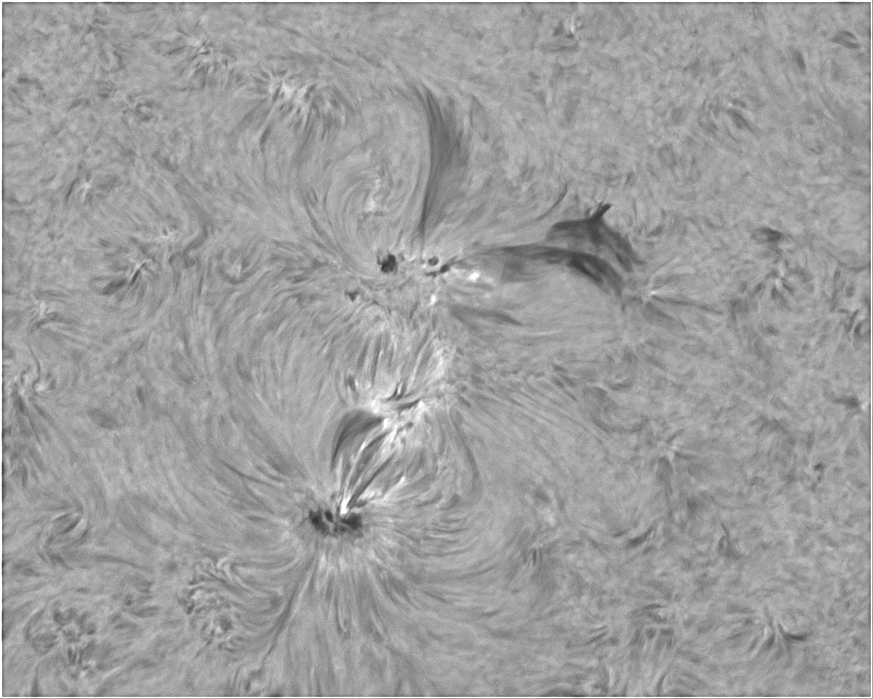 AR2011.jpg