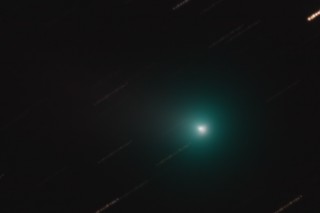 C2013R1Lovejoy_v1_320px.jpg