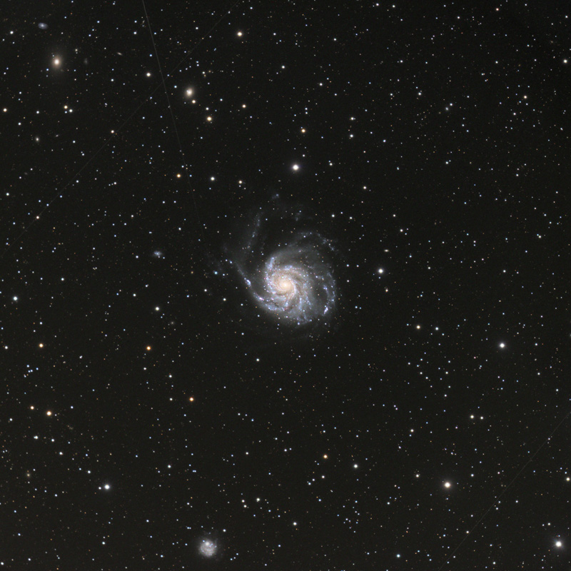 CCD-M101e.jpg