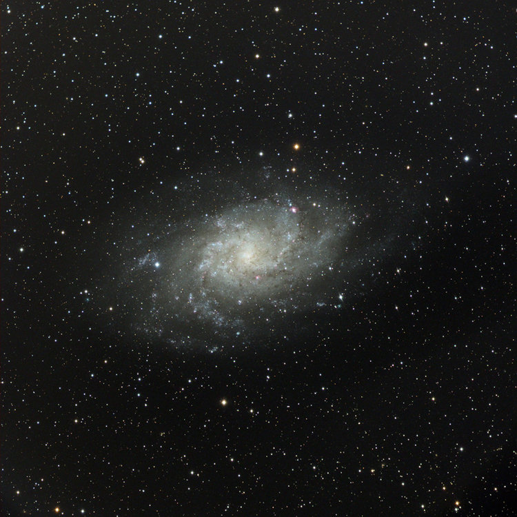 CCD-M33e.jpg