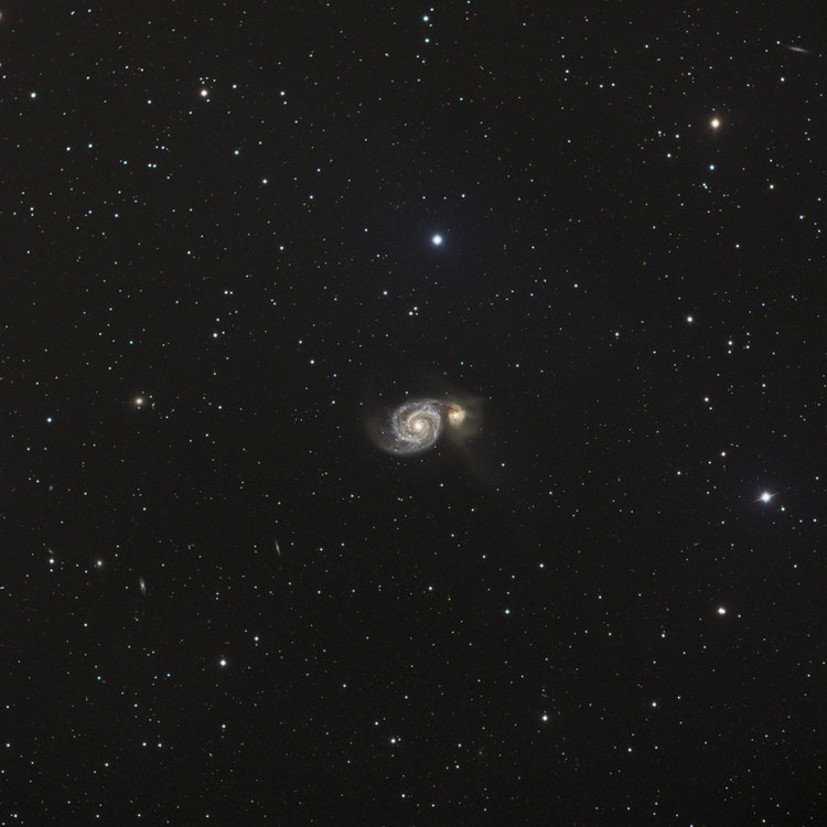 CCD-M51e.jpg