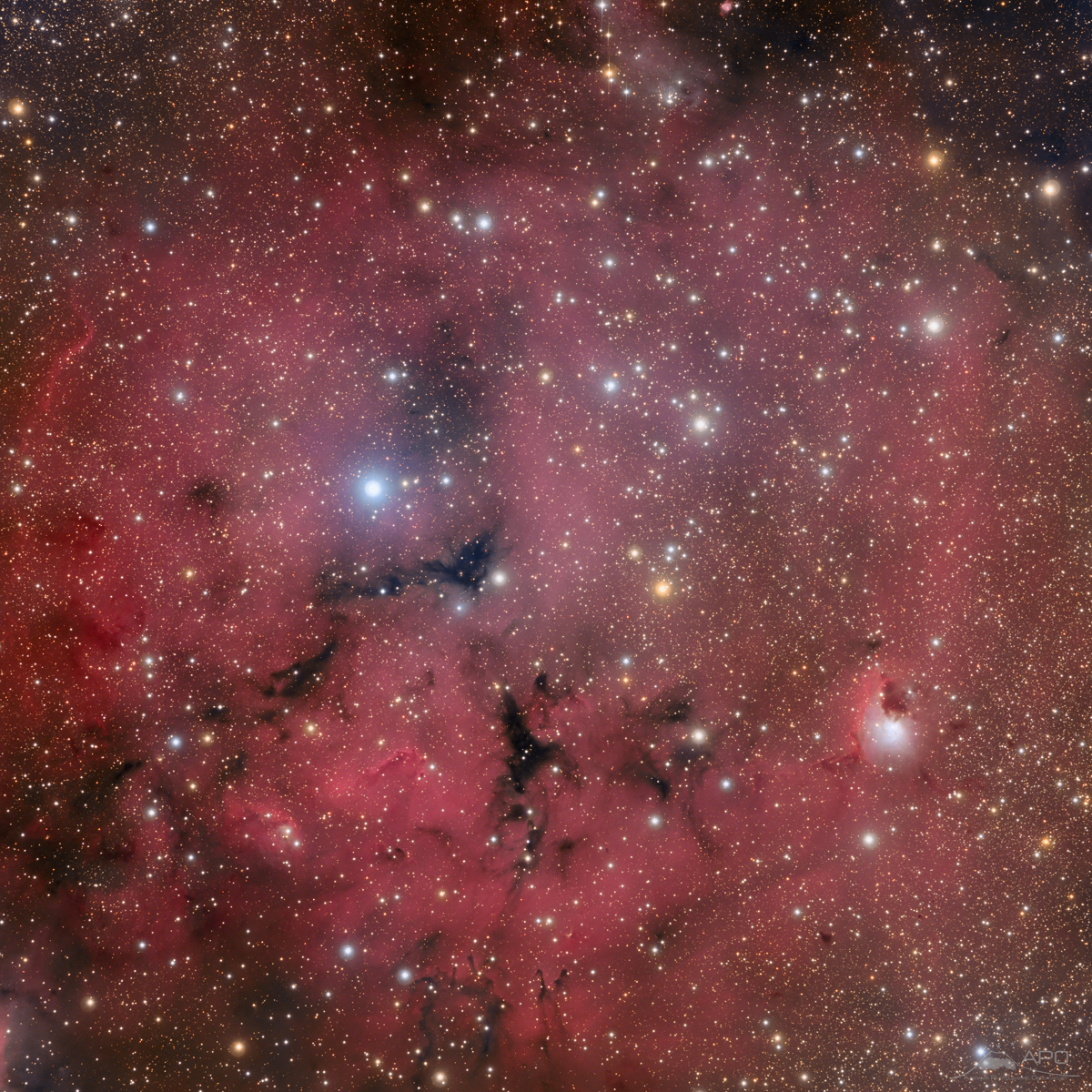 Gum14_ngc2626_TOA150_U16M_LRVB_APO_1200pix.jpg