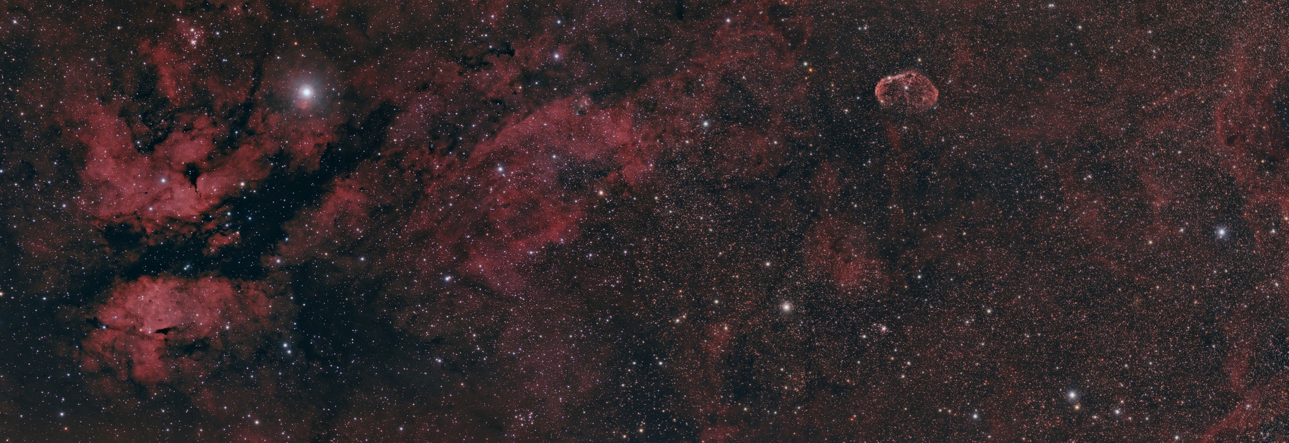 IC1318 - NGC6888,                    Bradisback