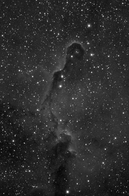 IC1396.jpg