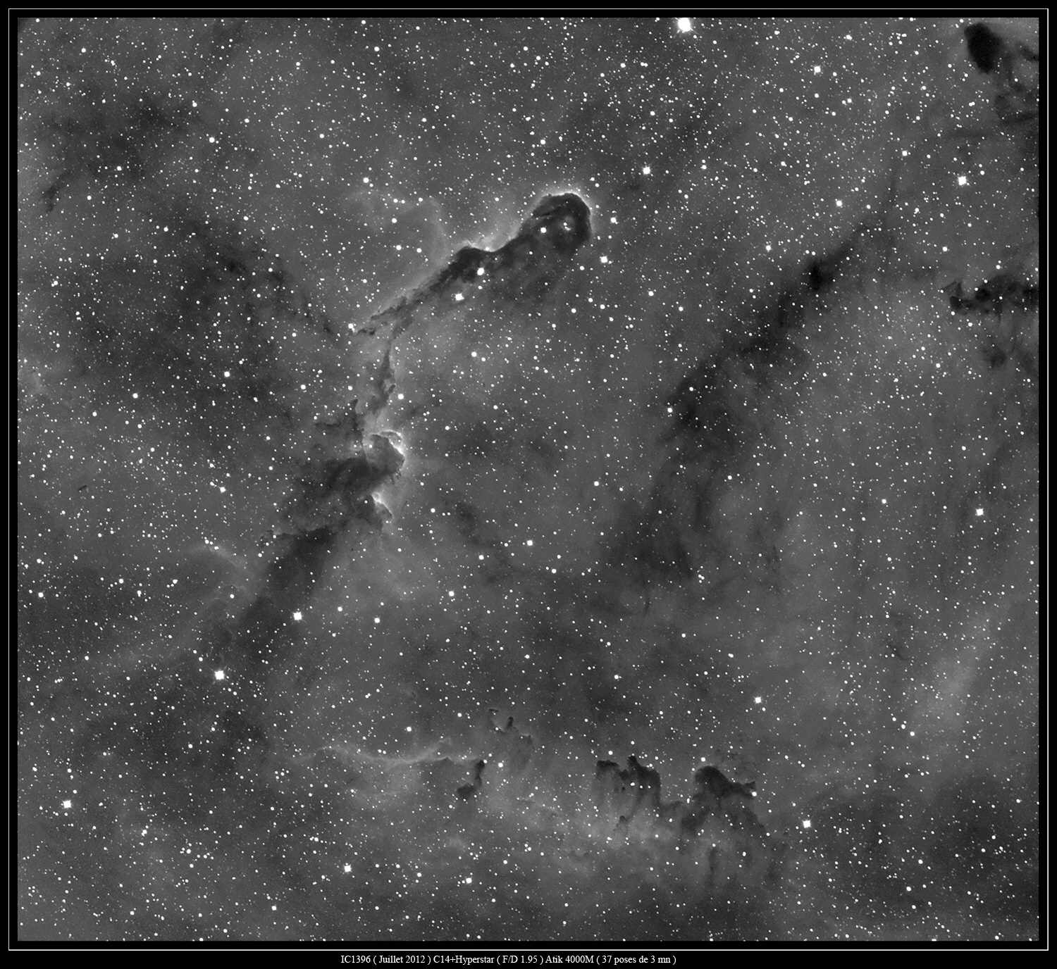 IC13960712.jpg