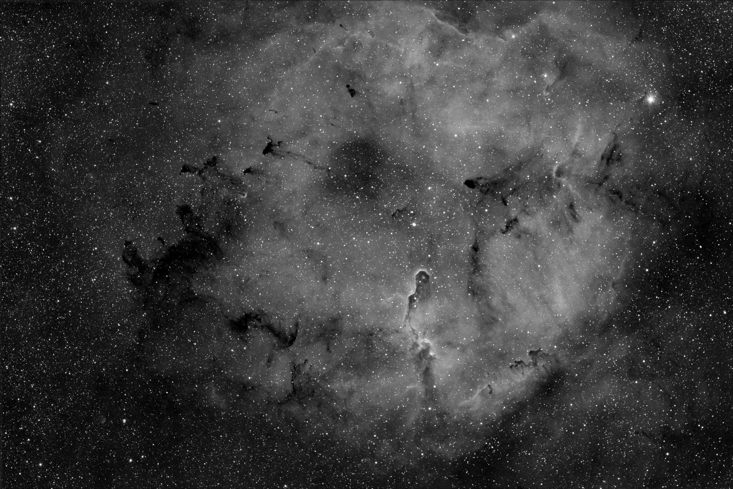 IC1396290509VIG15001000.jpg