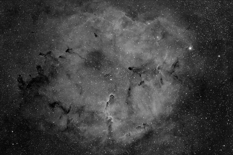 IC13966X305D5F030709VIG.jpg