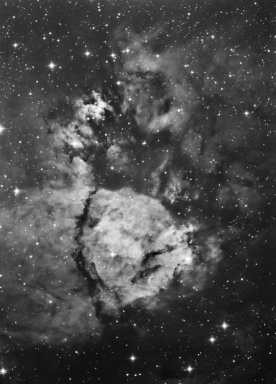 IC1795-ALL-MONO.jpg