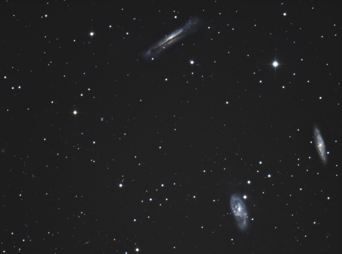 LEO-TRIPLET-NGC3628-M65-M66.jpg