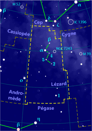 Lacerta_constellation_map-fr.png