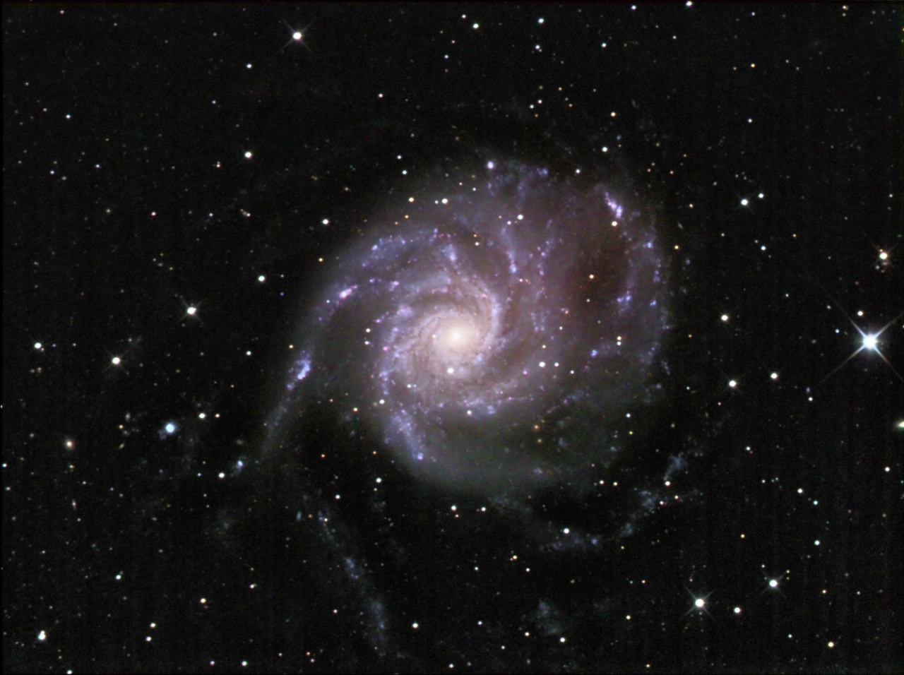 M101-26-06-2008-1280.jpg