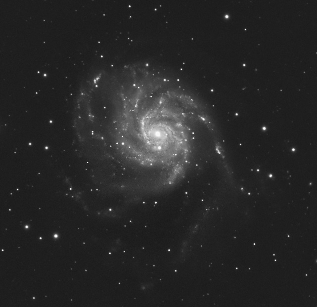 M101L300608sthelcrop.jpg