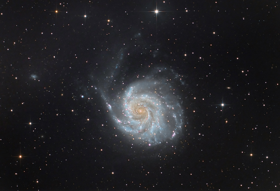 M101_V4_900x600.jpg