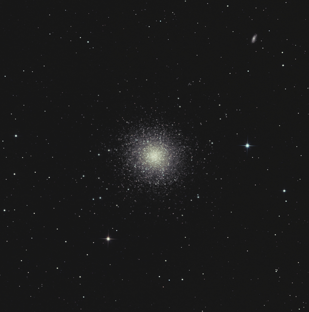 M13-crop.jpg