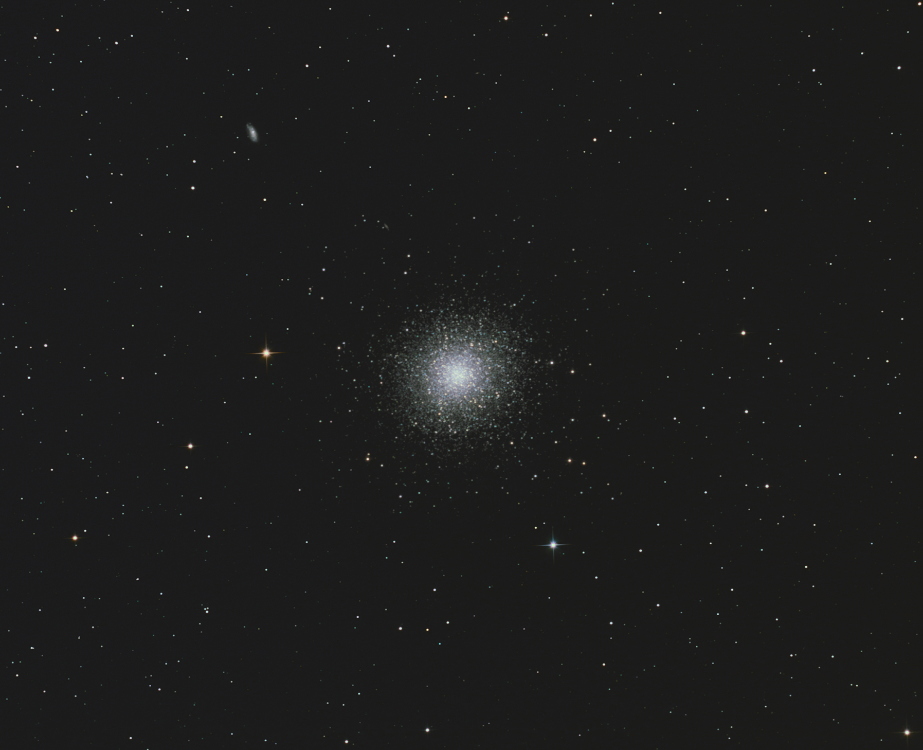 M13-crop2.jpg