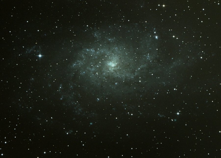 M33900.jpg