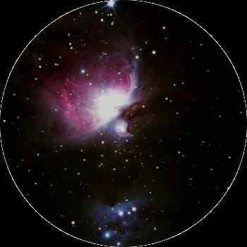 M42_50x82.jpg