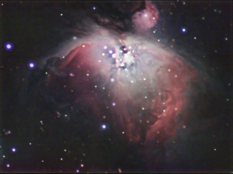 M42_chamois06.jpg