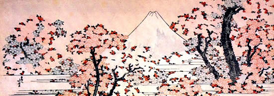 Mount_Fuji_seen_throught_cherry_blossom.jpg