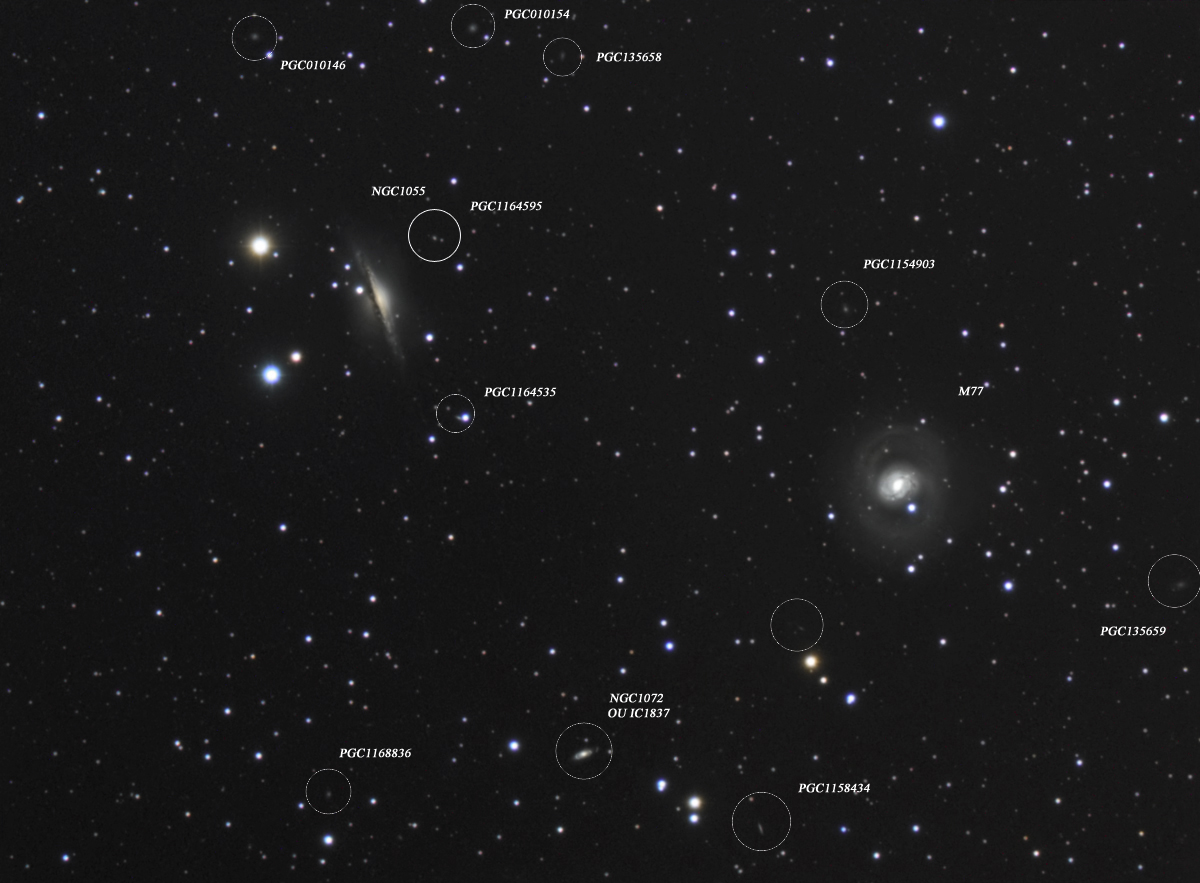 NGC1055-M77-LRGB-MEGREZ90-ATIK314L-BERNIER-FRANCOIS-ANNOTE.jpg