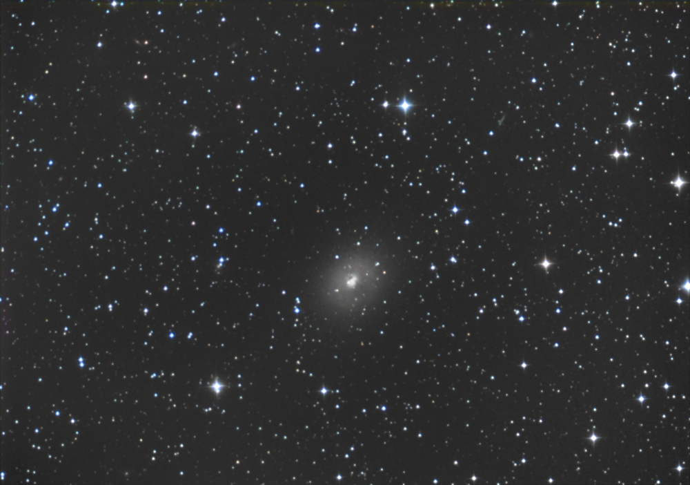 NGC185-BERNIER-FRANCOIS-2014.jpg