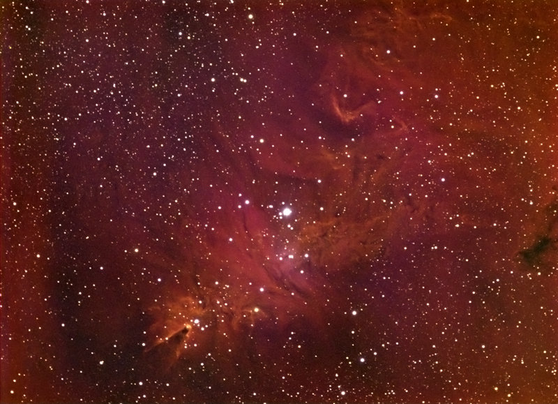 NGC2264-Cone-small.jpg