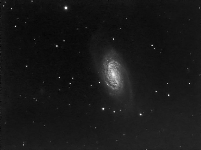 NGC2903.jpg