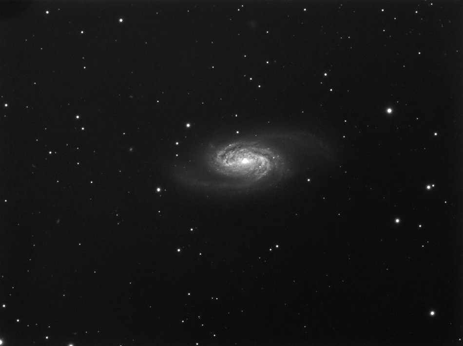 NGC2903L-14x5min-030108-barbz2r.jpg