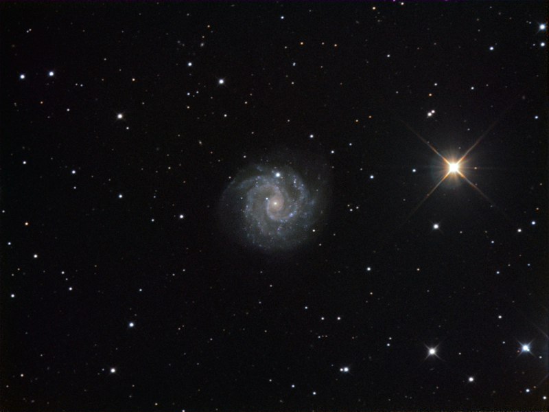 NGC3184-75.jpg