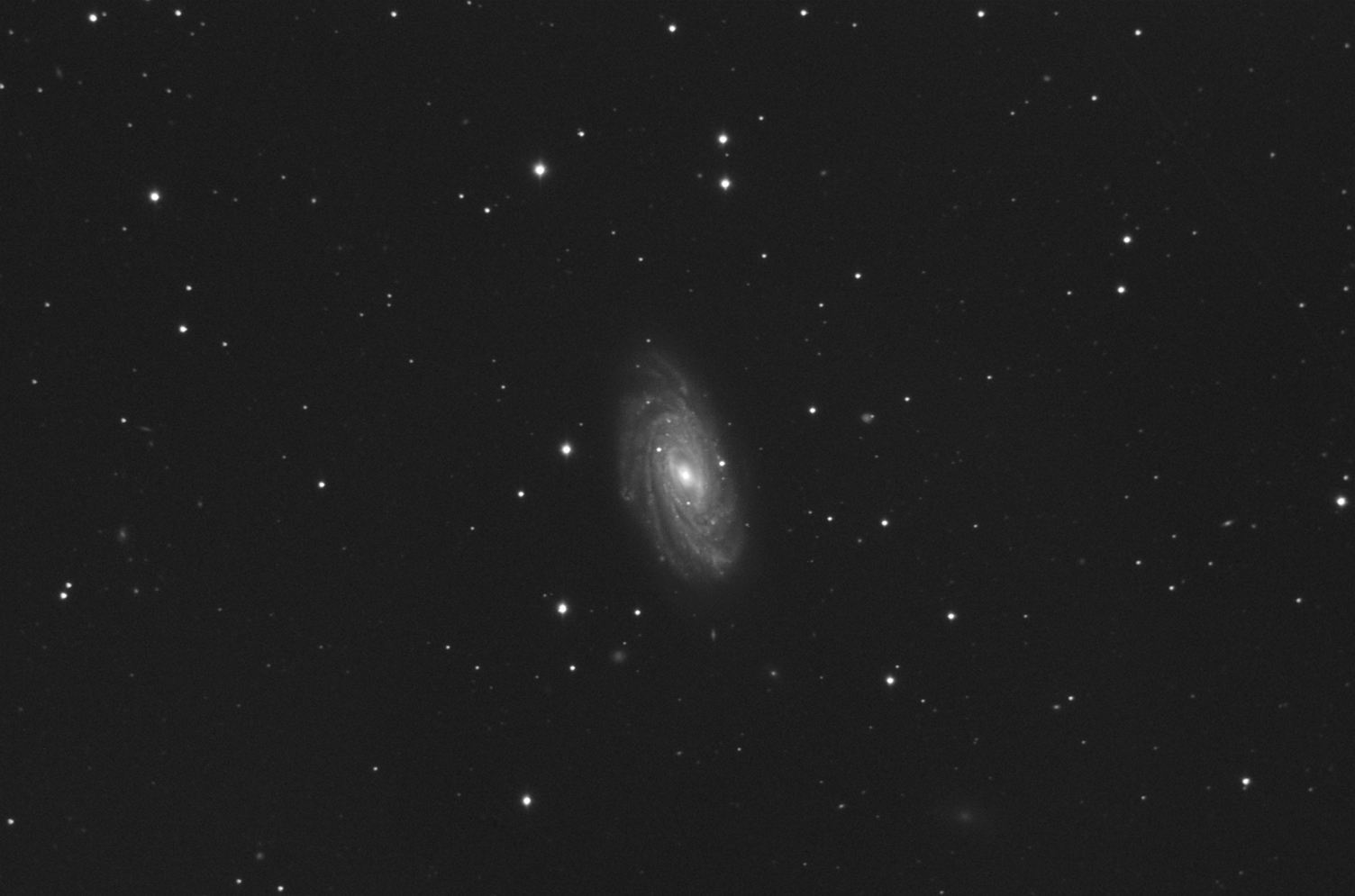 NGC3953_final.jpg