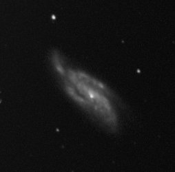 NGC4088-2-crop.jpg