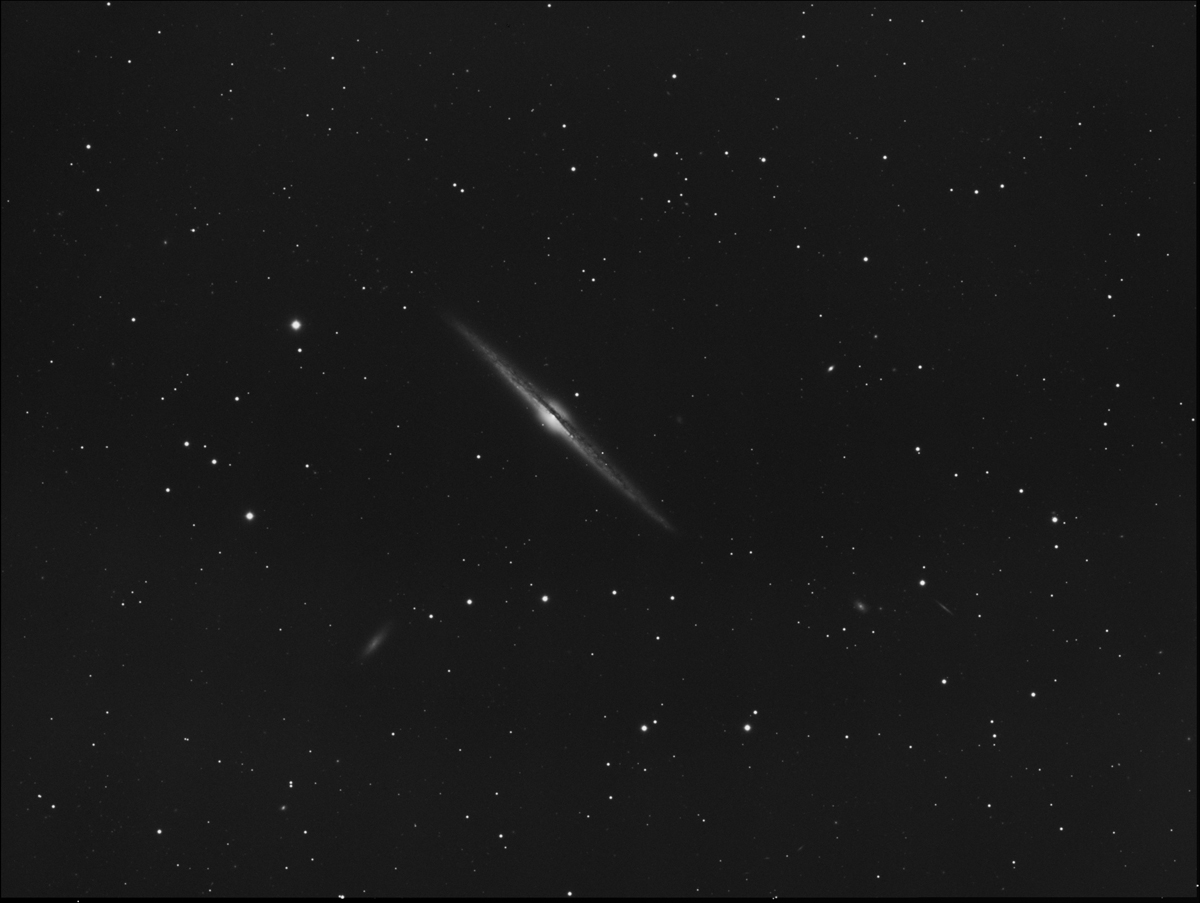 NGC4565web.jpg