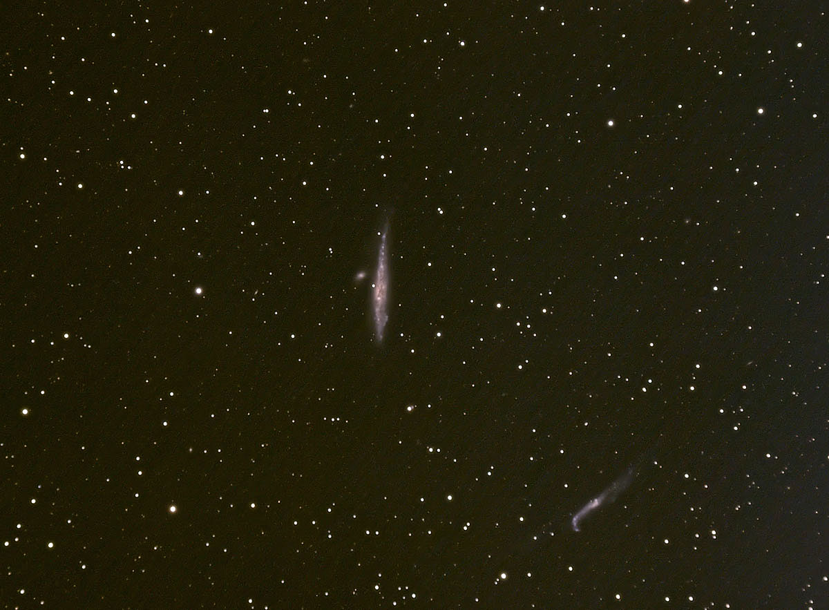 NGC4631-22March2009-biesmeree.jpg