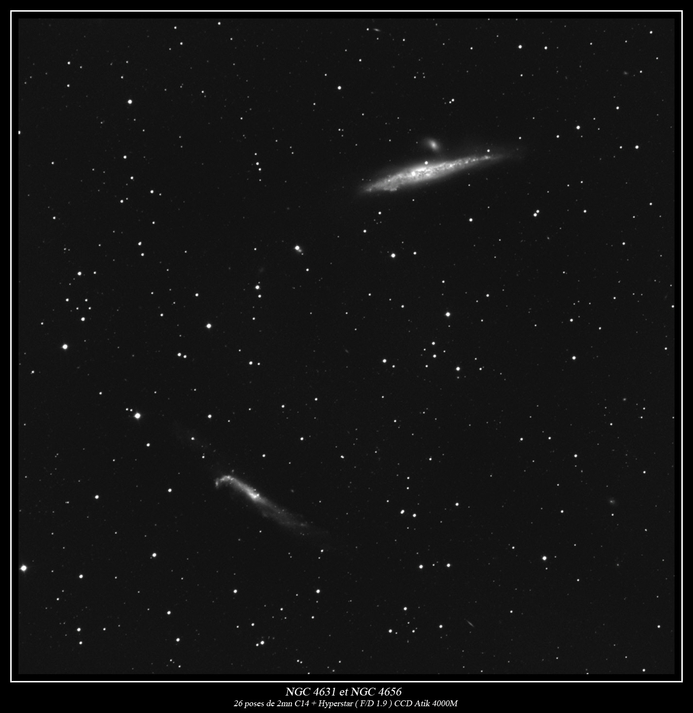 NGC4631FULL_.jpg