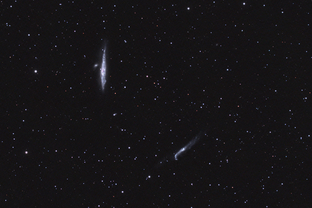 NGC4631_forums.jpg