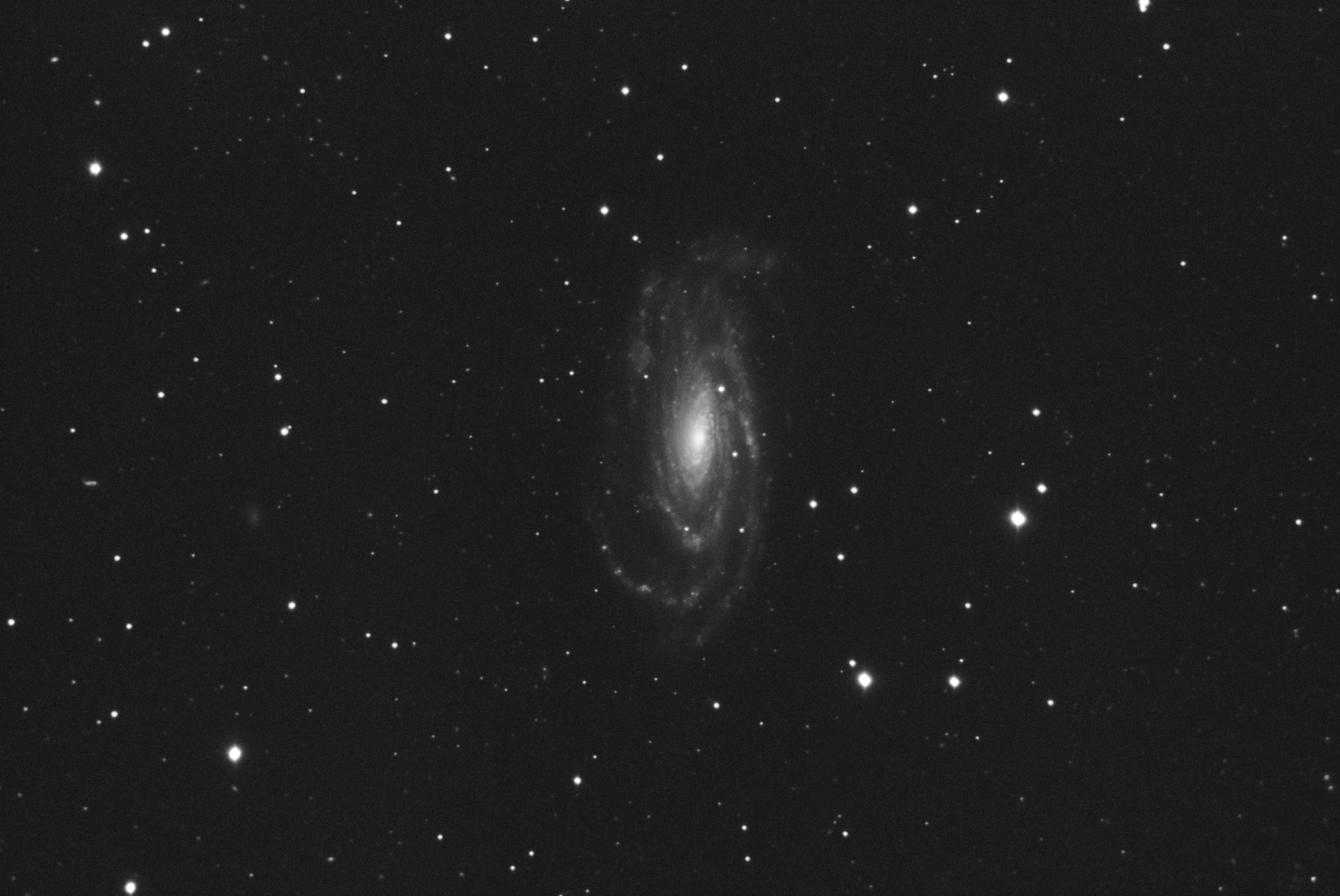 NGC5033_luminance_final.jpg