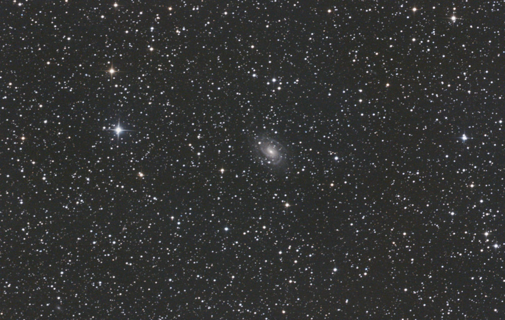 NGC6384-1.jpg