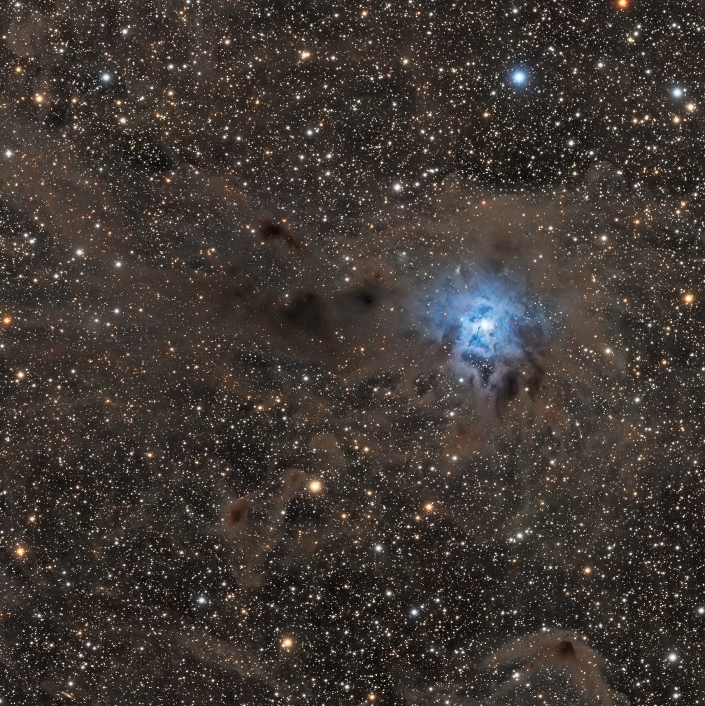 NGC7023-50pc.jpg