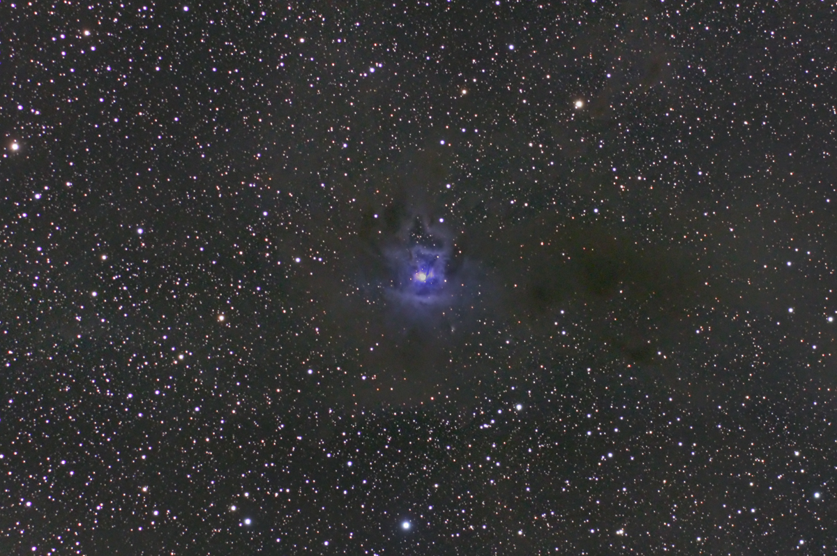 NGC7023-IRIS-COOLINGSTARBOX-50D-SIGMA170-CROP.jpg