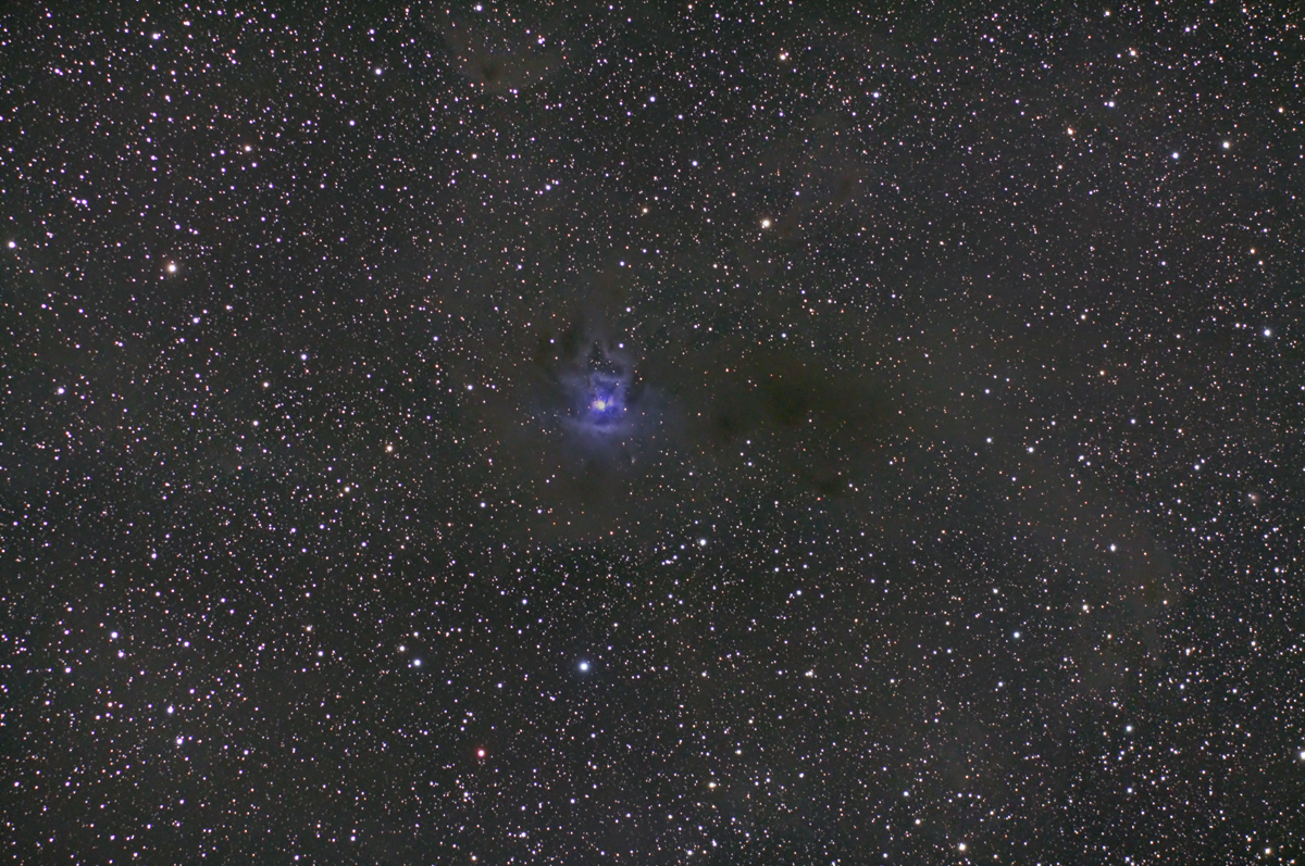 NGC7023-IRIS-COOLINGSTARBOX-50D-SIGMA170.jpg