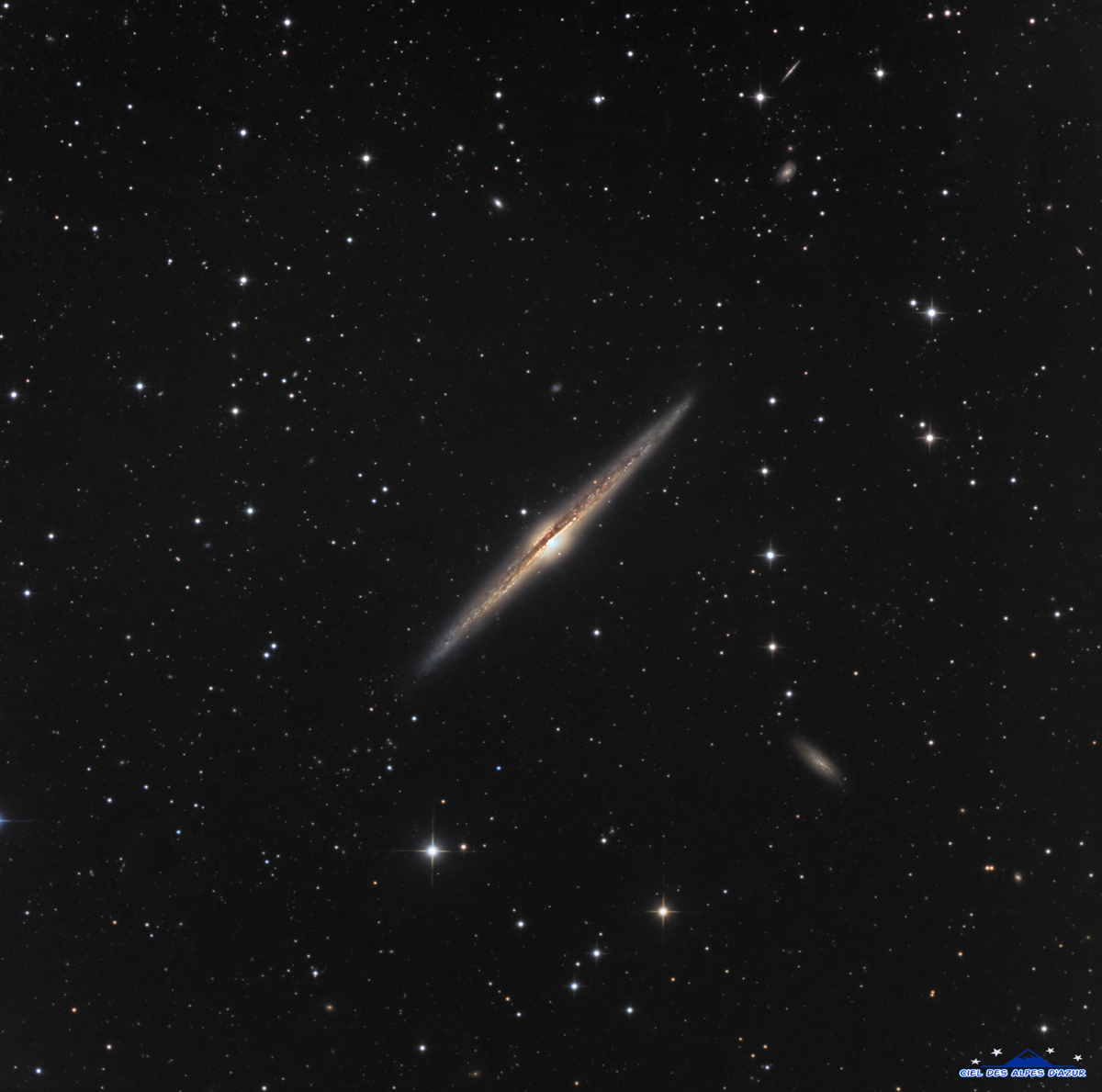 NGC_4565.jpg