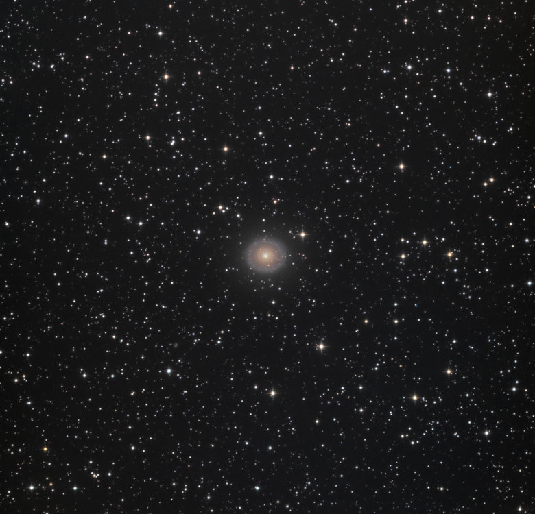 NGC_7217_full.jpg