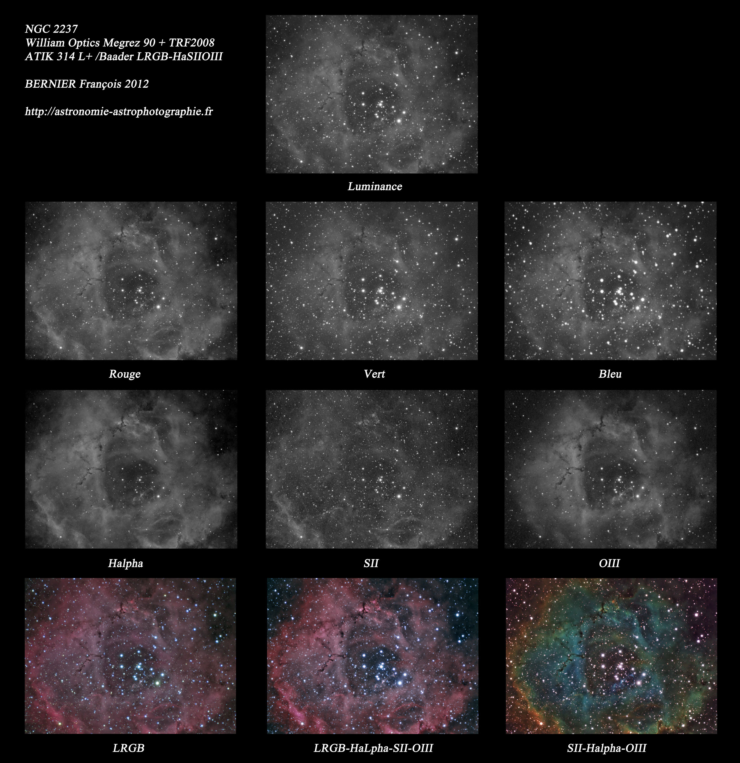 PLANCHE-NGC2237-ROSETTE-NEBULA-BERNIER-FRANCOIS-2012-SMALL.jpg