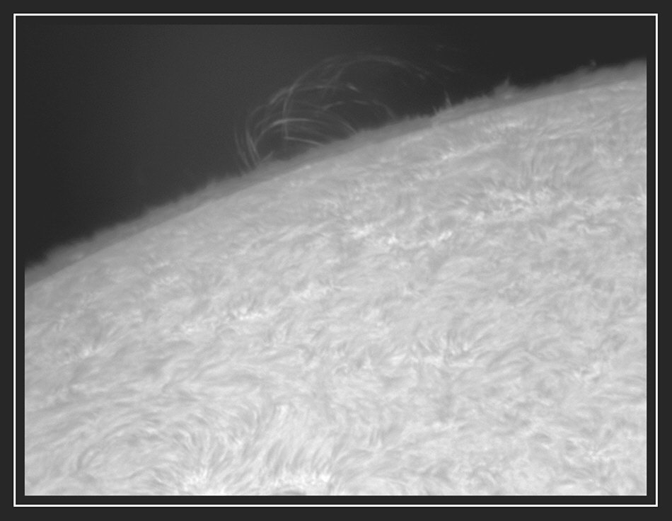 Sol0180803X2.jpg