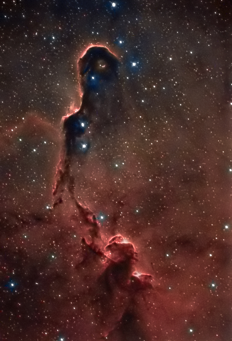 VDB142-IC1396-COLOR.jpg