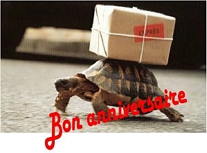 anniversaire-tortue.jpg