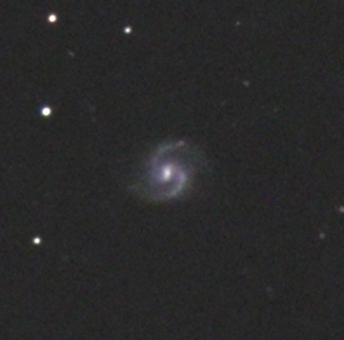 arp79z.jpg