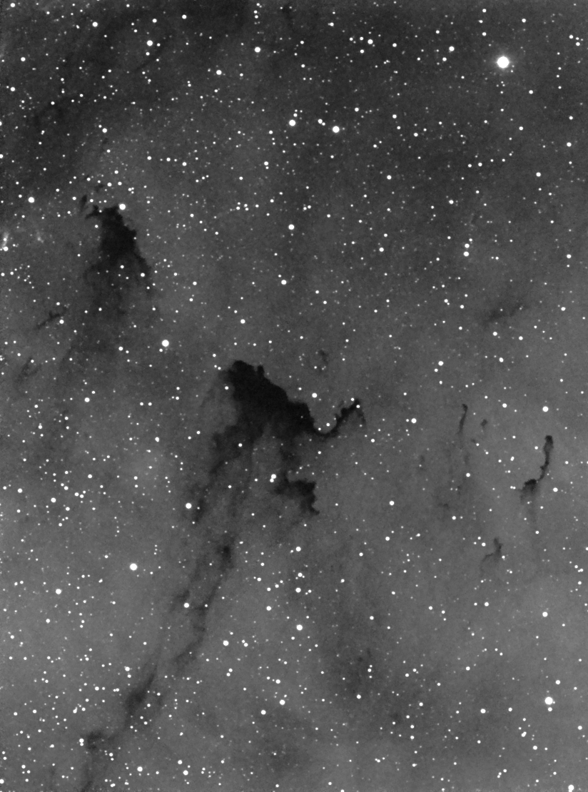 barnard163_h.jpg