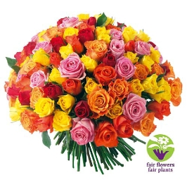 bouquet-de-roses-multicolores-100-roses-2953-266.jpg