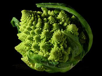 chou_romanesco.jpg